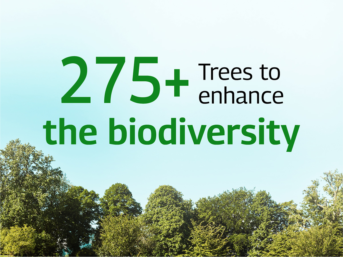 Sustainability Creds_Final-3