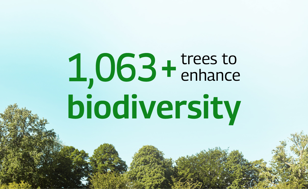 Sustainability Crads