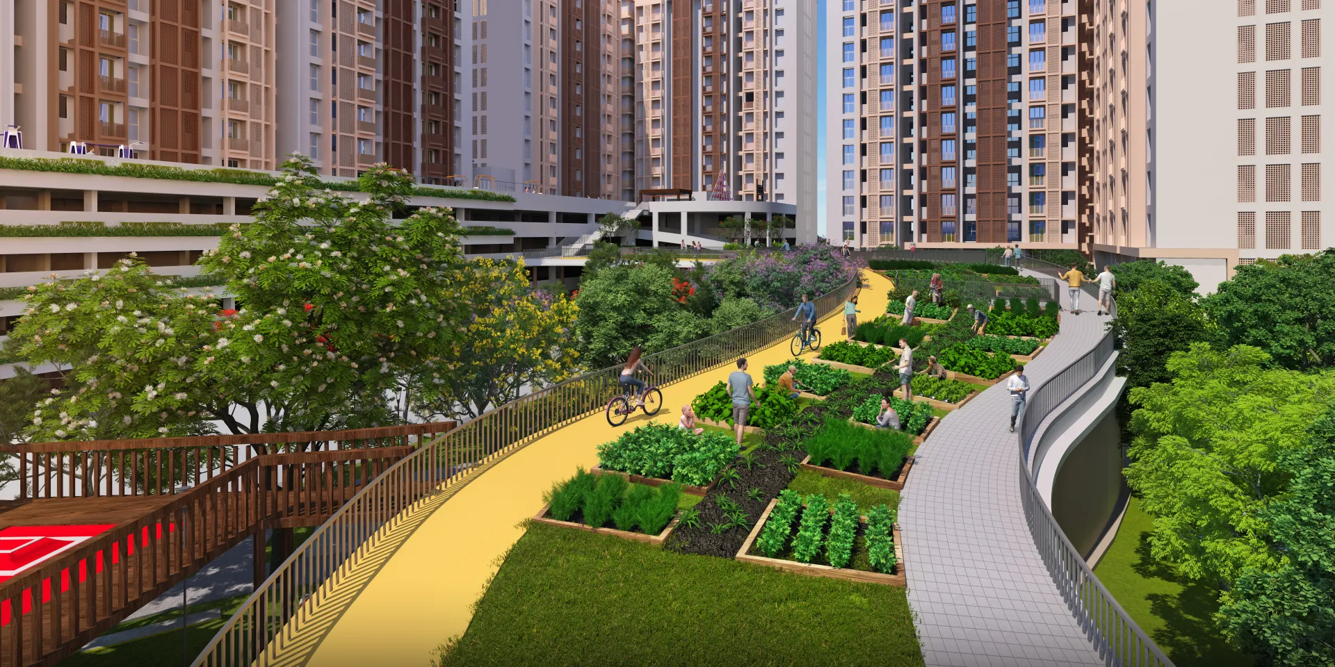 Organic Farming area